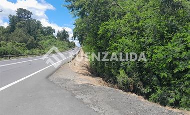 Parcela en Venta en Puente Allipen Ruta 199
