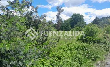 Parcela en Venta en Puente Allipen Ruta 199