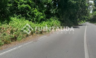 Parcela en Venta en Puente Allipen Ruta 199