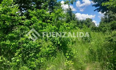 Parcela en Venta en Puente Allipen Ruta 199