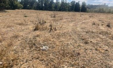 Agrícola en Venta en Sector El Escudo