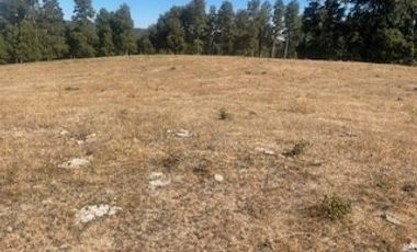 Agrícola en Venta en Sector El Escudo