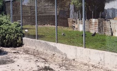 Parcela en Venta en Frente a ruta 5 norte, 20.000 metros cuadrados. Parcela en venta en sector Dos Hermanas