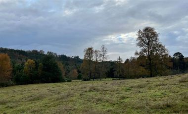 Agrícola en Venta en Cercano a Mafil