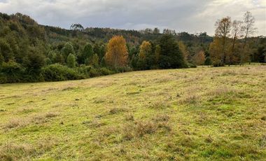 Agrícola en Venta en Cercano a Mafil