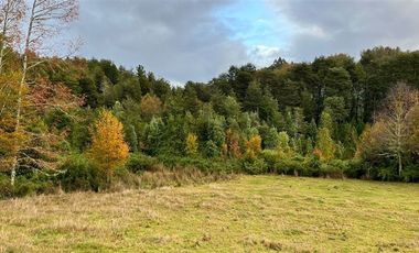 Agrícola en Venta en Cercano a Mafil