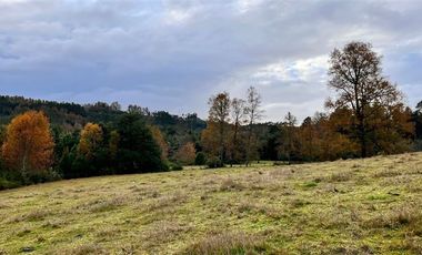Agrícola en Venta en Cercano a Mafil