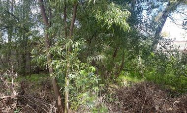 Casa en Venta en Cercano Plaza de Armas