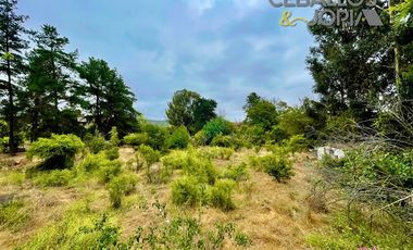 Parcela en Venta en Quebrada Escobares, Villa Alemana