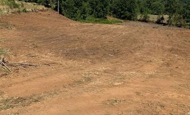 Parcela en Venta en Sector Ciruelos