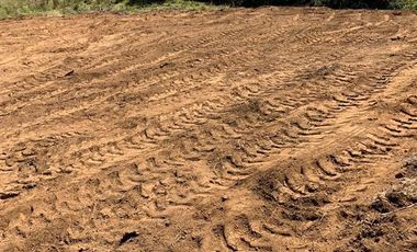 Parcela en Venta en Sector Ciruelos