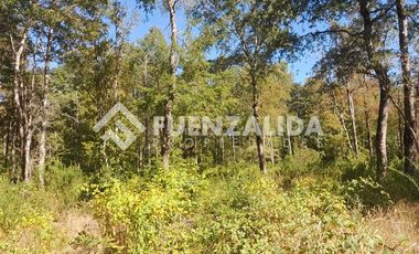 Parcela en Venta en Huincacara Molco