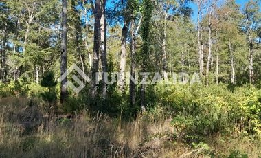 Parcela en Venta en Huincacara Molco