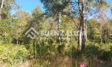 Parcela en Venta en Huincacara Molco