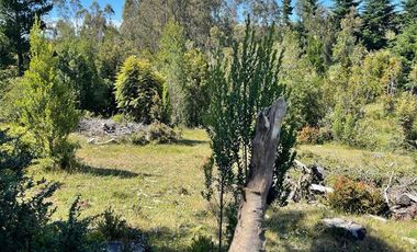 Parcela en Venta en Punucapa