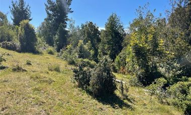 Parcela en Venta en Punucapa
