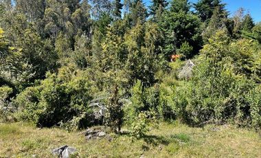 Parcela en Venta en Punucapa