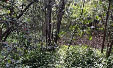 Terreno Construccion  en Venta en Yungay