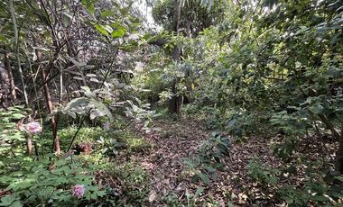 Terreno Construccion  en Venta en Yungay