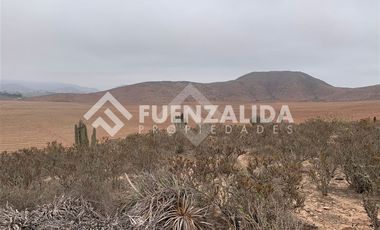 Sitio en Venta en Cruz de Cañas
