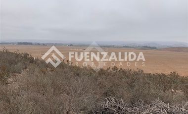 Sitio en Venta en Cruz de Cañas