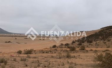 Sitio en Venta en Cruz de Cañas