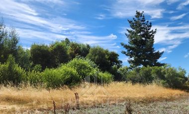 Parcela en Venta en Sector El Ciruelo Mesamavida