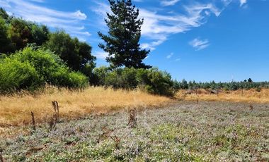 Parcela en Venta en Sector El Ciruelo Mesamavida