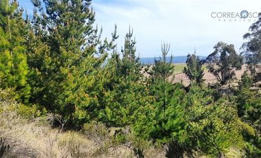 Terreno Construccion  en Venta en Parcelación La Aguada de Bucalemu