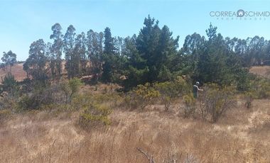 Terreno Construccion  en Venta en Parcelación La Aguada de Bucalemu