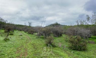 Parcela en Venta en Llancay