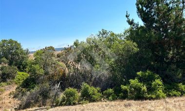 Sitio en Venta en Pichilemu - Lo Gallardo - El Cuarzo