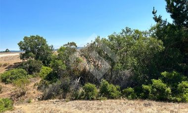 Sitio en Venta en Pichilemu - Lo Gallardo - El Cuarzo