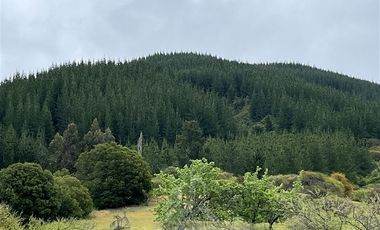 Agrícola en Venta en Sector Angostura, San Javier