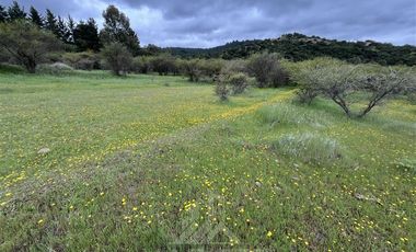 Agrícola en Venta en Sector Angostura, San Javier
