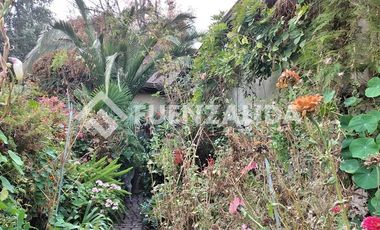 Casa en Venta en Simón González / Vicente Pérez Rosales