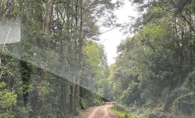 Parcela en Venta en Terreno en Castro
