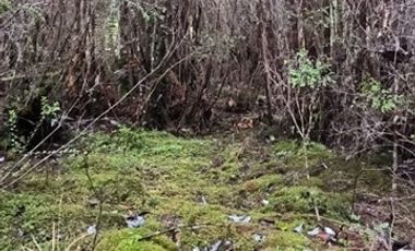 Parcela en Venta en Terreno en Castro