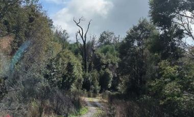 Parcela en Venta en Terreno en Castro