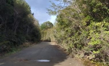 Parcela en Venta en Terreno en Castro