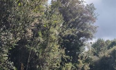 Parcela en Venta en Terreno en Castro