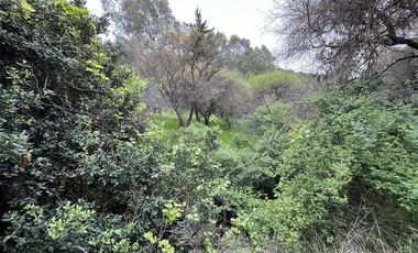 Parcela en Venta en Sector Angostura, San Javier