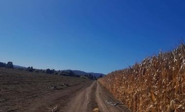 Agrícola en Venta en Terreno agrícola en Nilahue Alto