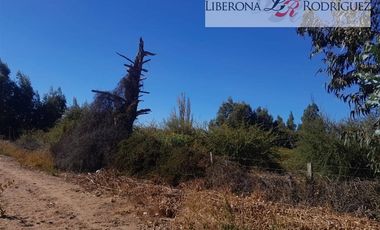 Agrícola en Venta en Terreno agrícola en Nilahue Alto