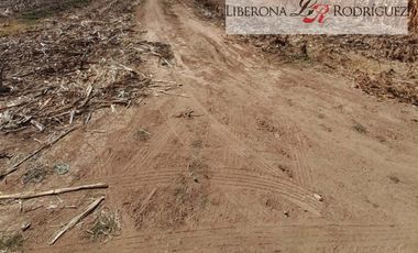 Agrícola en Venta en Terreno agrícola en Nilahue Alto