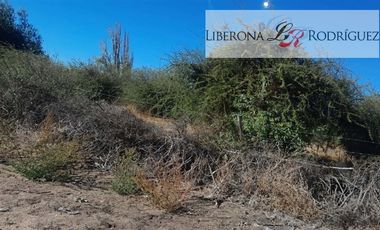 Agrícola en Venta en Terreno agrícola en Nilahue Alto