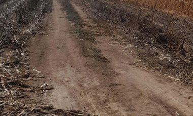 Agrícola en Venta en Terreno agrícola en Nilahue Alto