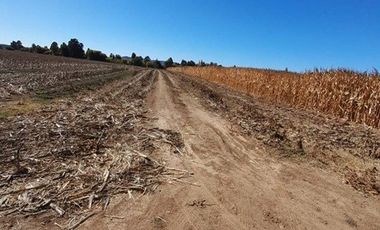 Agrícola en Venta en Terreno agrícola en Nilahue Alto
