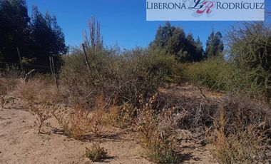 Agrícola en Venta en Terreno agrícola en Nilahue Alto