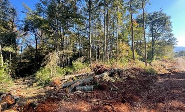 Parcela en Venta en Los Lagos